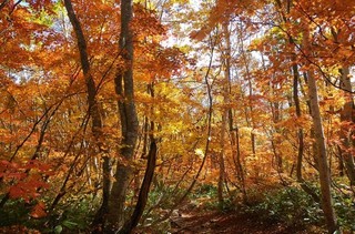 16.10.22火打笹ヶ峰.jpg