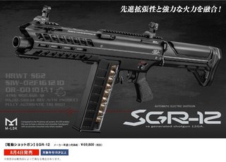 17.07.23SGR-12.jpg