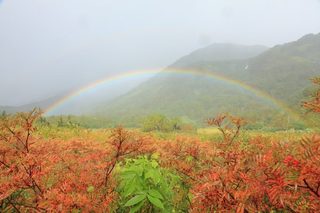 17.09.18E6A082E6B1A0.jpg