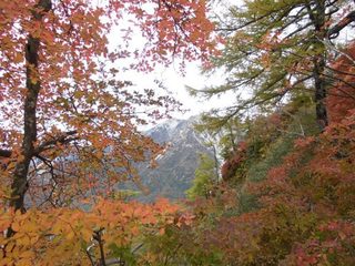 17.10.06やせ尾根.jpg