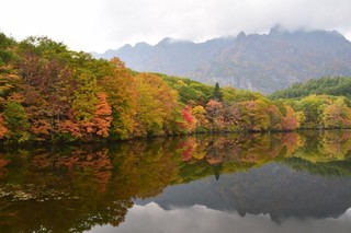 17.10.12逆紅葉縮小.jpg