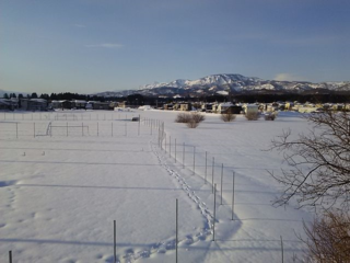 18.02.10今朝の自宅.png