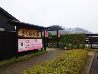 18.04.19さくらの湯.png
