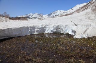 18.05.01栂池.jpg