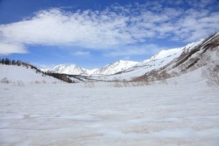 18.05.08栂池.jpg