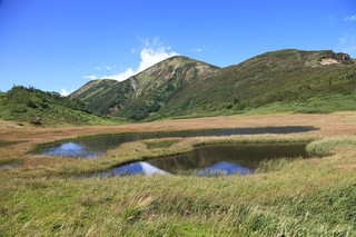 18.09.149月6日の天狗にの庭.jpg