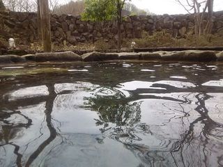 19.04.18-2.jpg