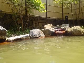 19.08.02-1.jpg