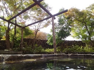 19.10.31紅葉の.jpg