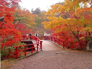 19.11.10弥彦の紅葉.jpg