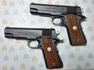20.04.30どちらがマルイ?.jpg
