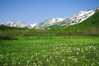 20.05.24-5.jpg