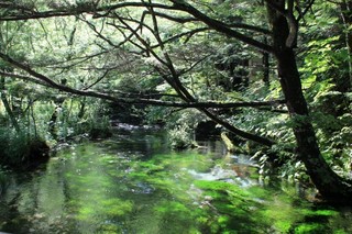 20.08.03清水川.jpg