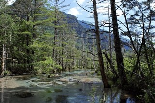 20.08.14岳沢湿原.jpg