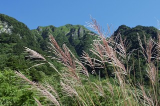 20.08.16上高地ー1.jpg
