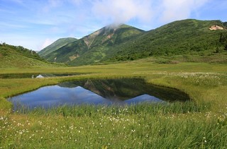 20.08.17ワタスゲの天狗の庭.jpg