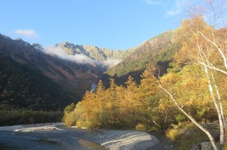 20.10.05黄葉.jpg
