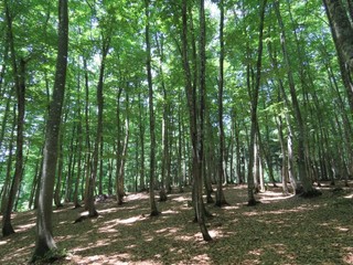 21.06.10-2.JPG