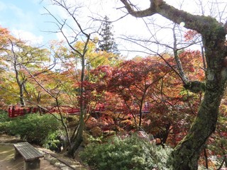 21.11.05-4.JPG