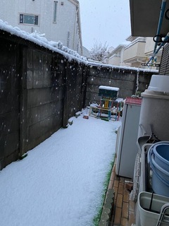22.01.07江戸はこれで大慌て.jpg