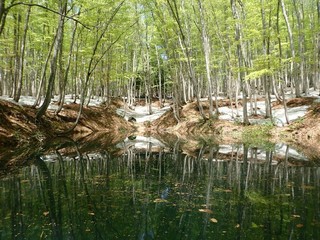 22.04.05-4.JPG