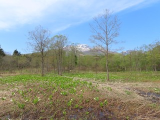 22.05.07-3.JPG