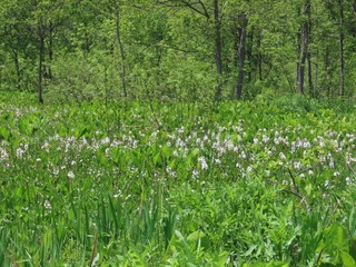 22.05.27-7.JPG