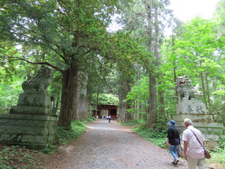 22.06.26-7.JPG