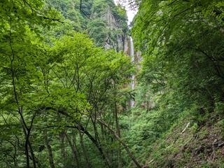 23.07.30-1.jpg