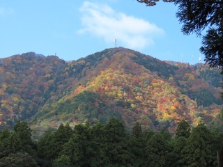 23.10.17-121.11.05-1.JPG