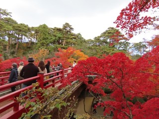 23.10.17-220.11.13-3.JPG