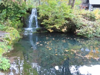23.10.22-6.JPG