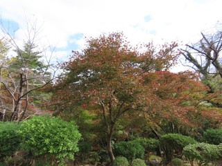 23.11.09-2.JPG