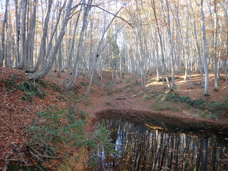 23.11.19-2.JPG