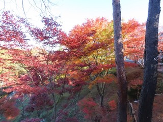 23.11.25-3.JPG