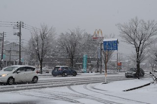 24.01D07[P.JPG