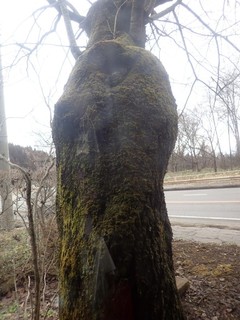 24.03.23-4.JPG