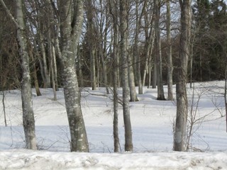 24.03.31l.JPG