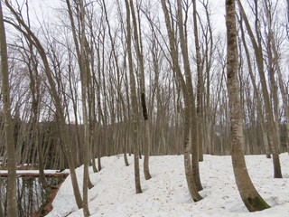 24.04.06-4.JPG