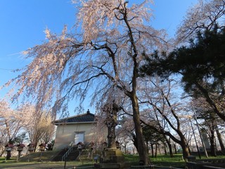 24.04.11-2.JPG