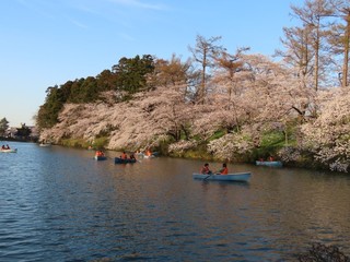 24.04.11-3.JPG