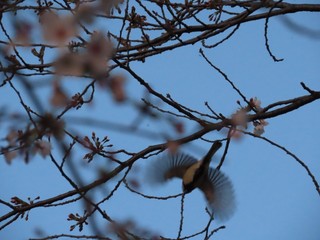 24.04.11-5.JPG
