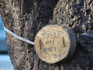 24.04.13-1.JPG