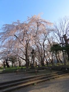 24.04.13-2.JPG