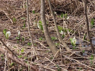 24.04.15-8.JPG