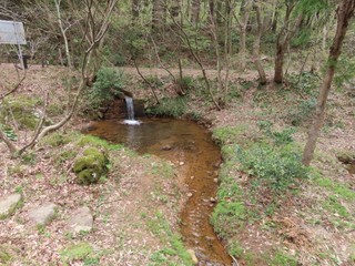 24.04.16-4.JPG