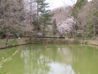 24.04.16-5.JPG