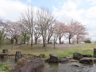 24.04.18-4.JPG