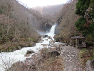 24.04.20-7.JPG