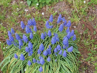 24.04.21-9.JPG